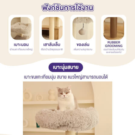 คอนโดแมว Catry รุ่น Cat Tree Casio สีเบจ_2